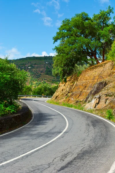 Camino entre colinas — Foto de Stock