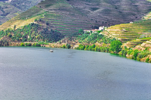 Floden Douro i Portugal — Stockfoto