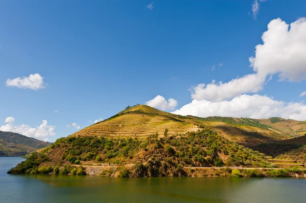 Douro folyó Portugáliában — Stock Fotó