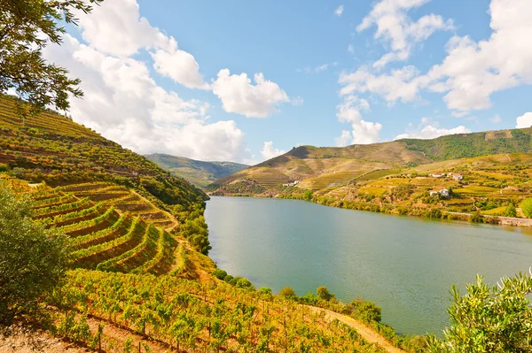 Douro folyó Portugáliában — Stock Fotó