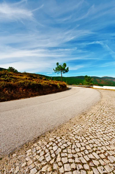 Route asphaltée au Portugal — Photo