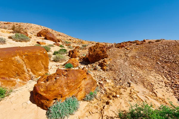 Desert in Israel — Stock Photo, Image