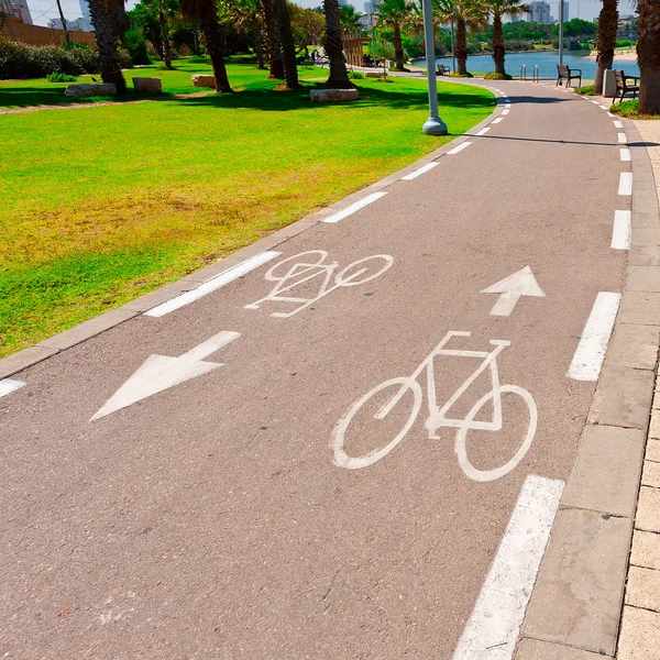 Bicycle Track in Israel — Stock Photo, Image