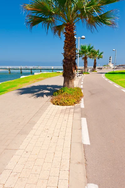 Bicycle Track in Israel — Stock Photo, Image