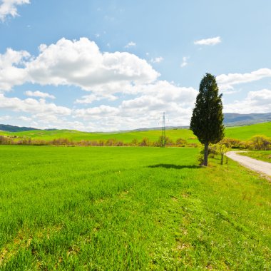 toskana çayırları