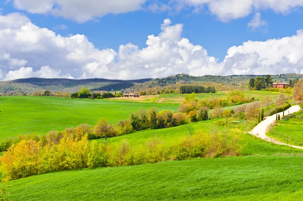 Campos de Toscana — Foto de Stock