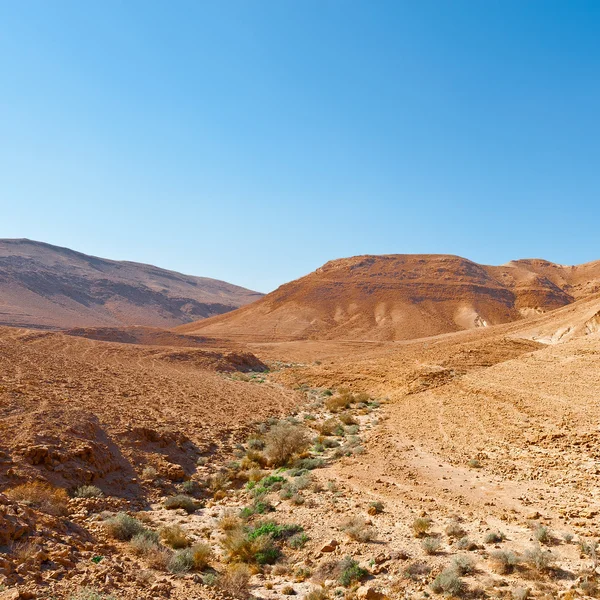 Deserto em Israel — Fotografia de Stock