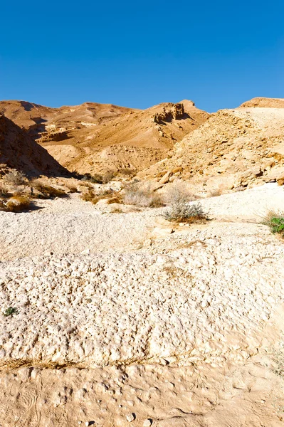 Пустыня Израиля — стоковое фото