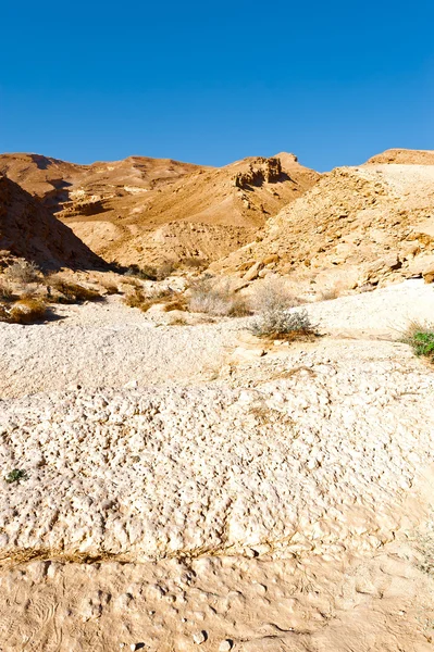 Öken i israel — Stockfoto