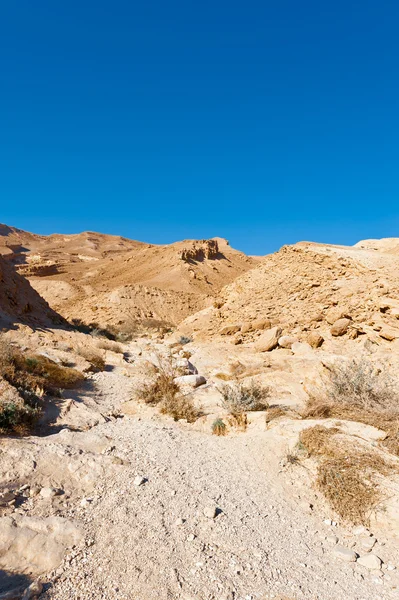 Desert in Israel — Stock Photo, Image