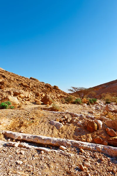 Desert in Israël — Stockfoto