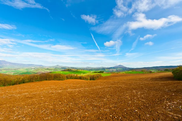 Prados de Toscana —  Fotos de Stock