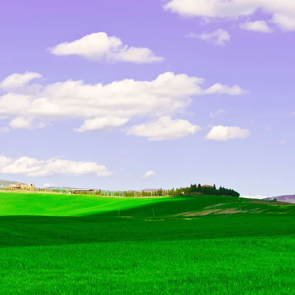 Meadows in Italy — Stock Photo, Image