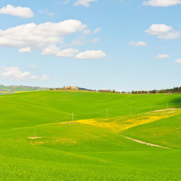 Weiden in Italië — Stockfoto