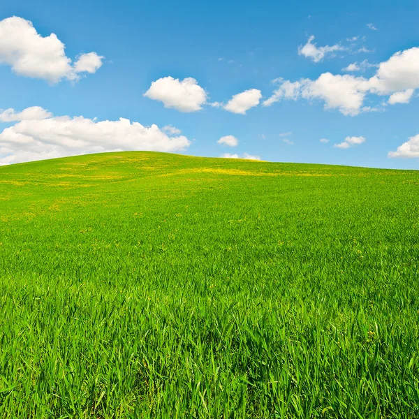 Grüne wiesen in italien — Stockfoto