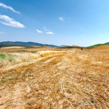 Sicilya alanlarında