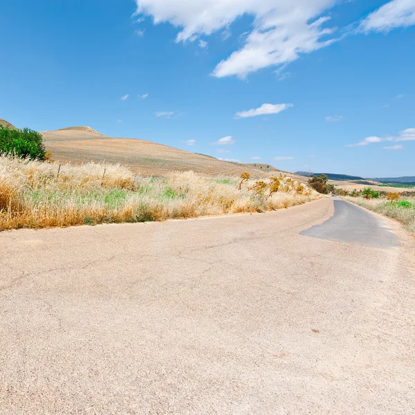 Route entre les champs — Photo