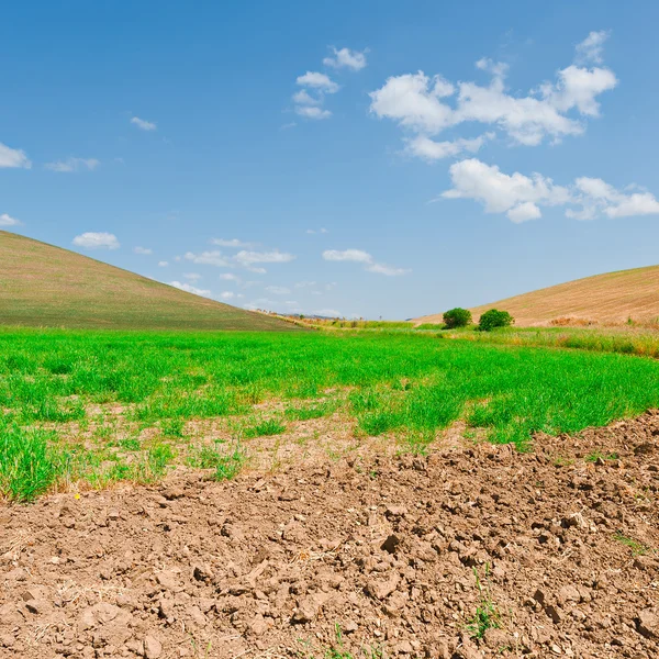 Fields of Sicily — Stock Photo, Image