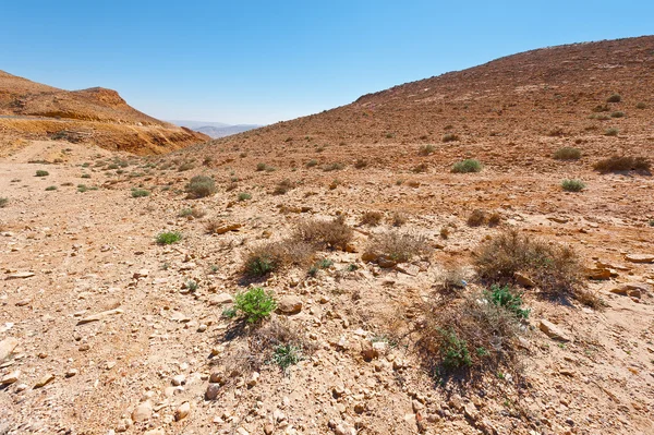 Desierto en Israel —  Fotos de Stock