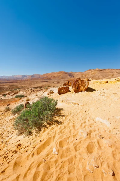 Desert in Israel — Stock Photo, Image