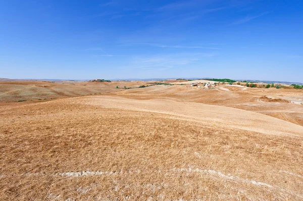 Bakker i Toscana - Stock-foto