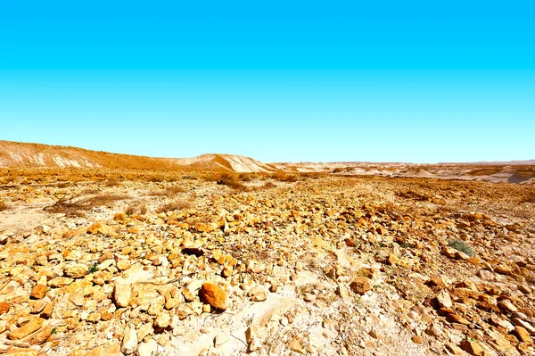 Desert in Israel — Stock Photo, Image