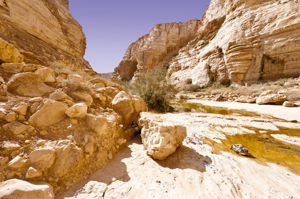 Canyon nl Avedat — Stockfoto