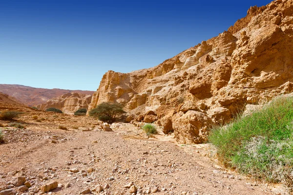 Öken i israel — Stockfoto