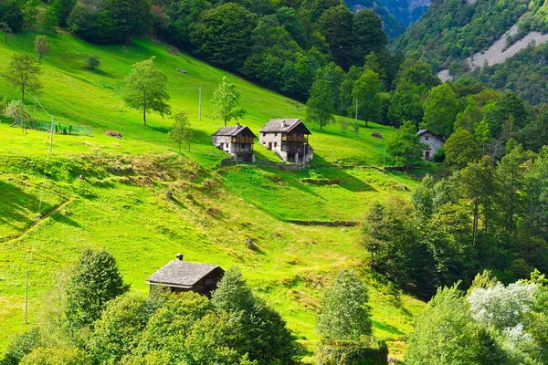 Dorp in Alpen — Stockfoto