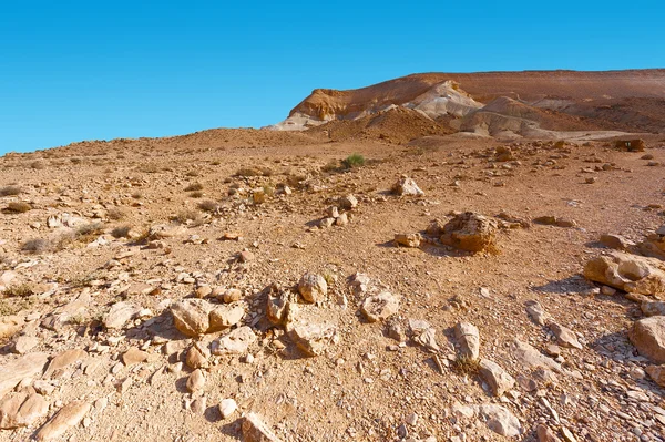 Öken i israel — Stockfoto