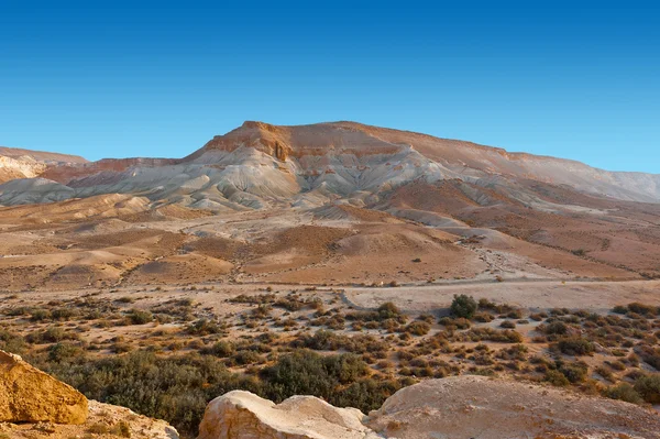 Désert en Israël — Photo