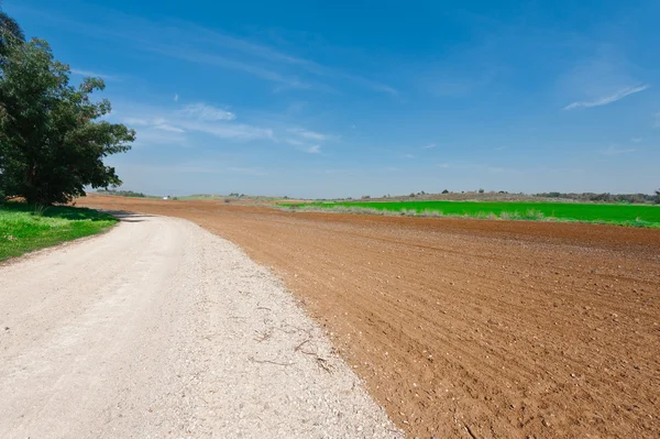 Estrada da sujeira em Israel — Fotografia de Stock