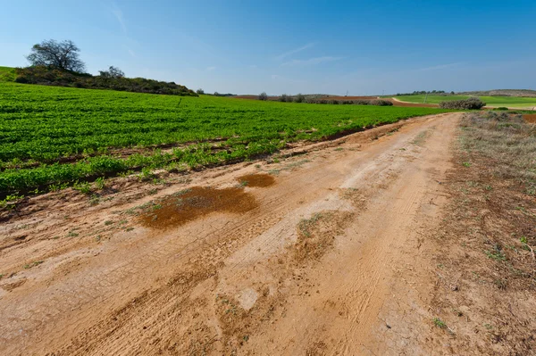 Camino de la tierra en Israel —  Fotos de Stock