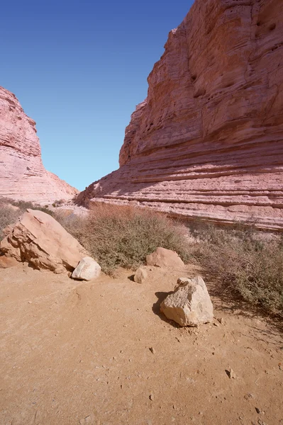 Canyon in Desert — Stock Photo, Image