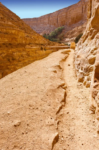 Desfiladeiro no deserto — Fotografia de Stock