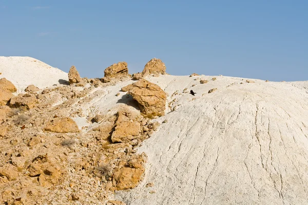 Öken i israel — Stockfoto