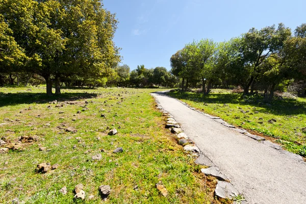 Park op de Golan — Stockfoto