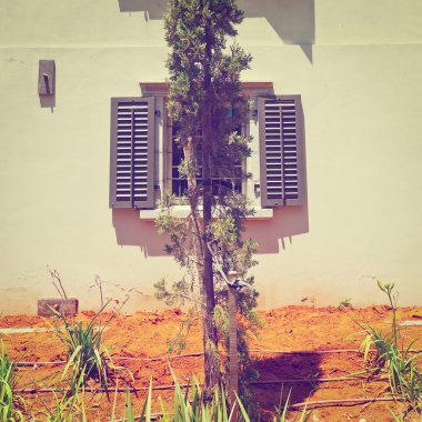 İsrail penceresinde