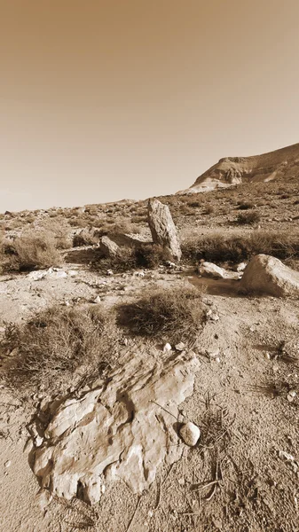 Wüste in Israel — Stockfoto