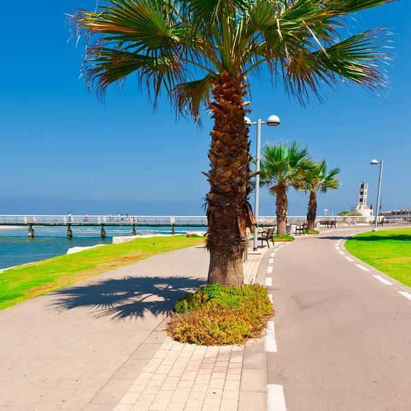 Bicycle Track in Israel — Stock Photo, Image