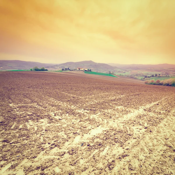 Colinas de Toscana —  Fotos de Stock