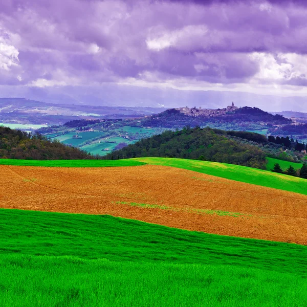 Meadows in Italy — Stock Photo, Image