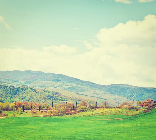 Meadows in Italy — Stock Photo, Image