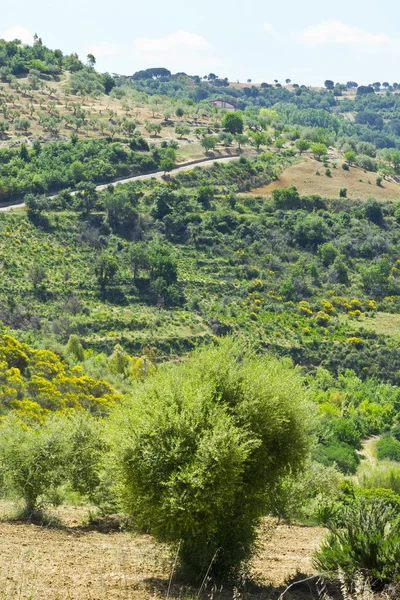 Landschap van Sicilië — Stockfoto