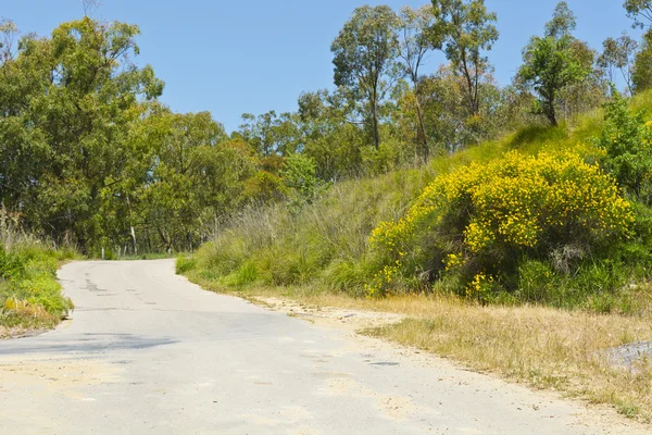 Road in Sicily — Stock Photo, Image