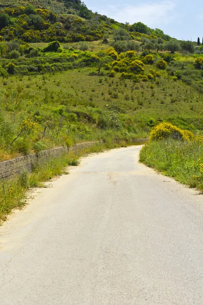 Camino en Sicilia —  Fotos de Stock