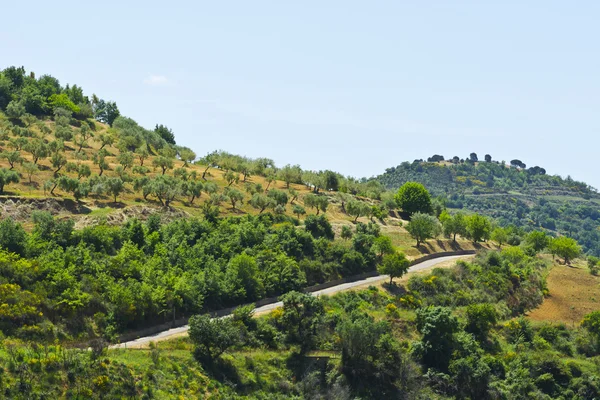 Landskap av Sicilienkrajina na Sicílii — Stock fotografie