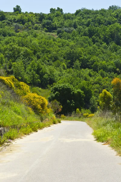 Camino en Sicilia — Foto de Stock