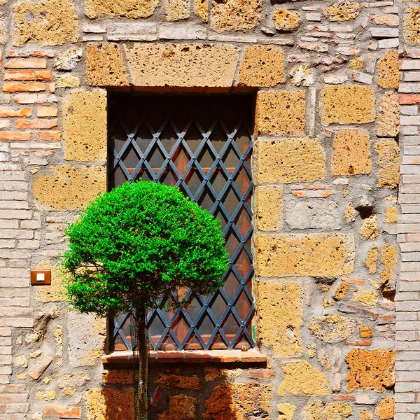 L'architettura italiana — Foto Stock