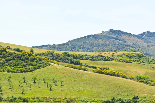 Landschaft Siziliens — Stockfoto